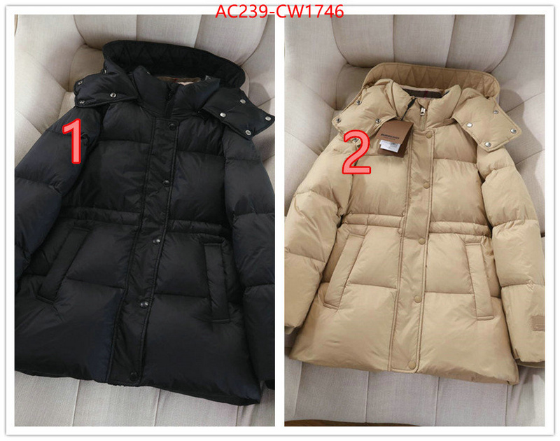 Down jacket Women-Burberry,where to buy , ID: CW1746,$: 239USD