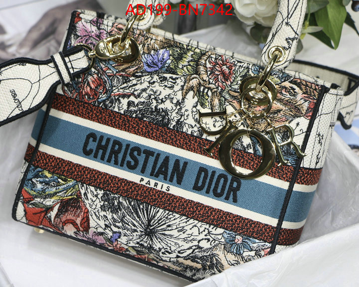 Dior Bags(TOP)-Lady-,ID: BN7342,$: 199USD