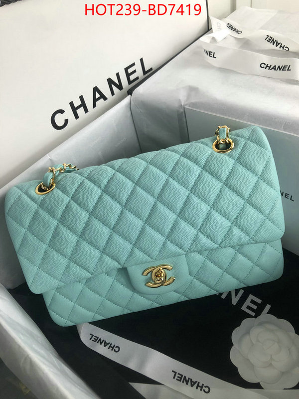 Chanel Bags(TOP)-Diagonal-,ID: BD7419,$: 239USD