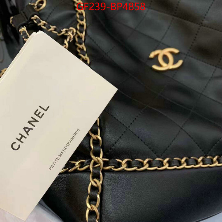 Chanel Bags(TOP)-Handbag-,ID: BP4858,$: 239USD