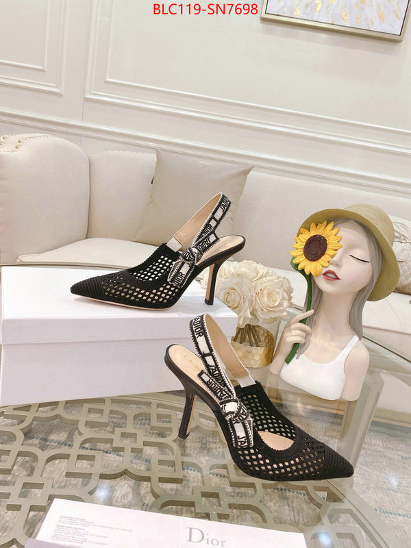 Women Shoes-Dior,how to buy replcia , ID: SN7698,$: 119USD