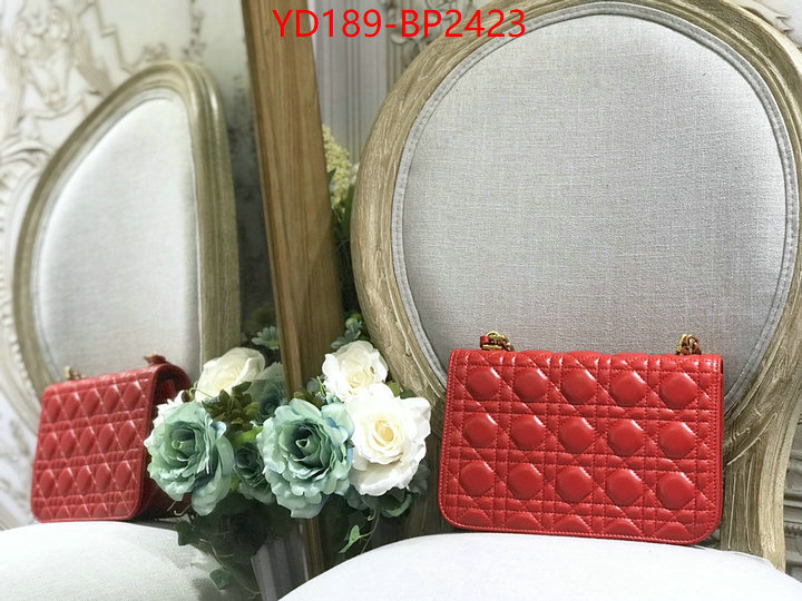 Dior Bags(TOP)-Other Style-,ID: BP2423,$: 189USD