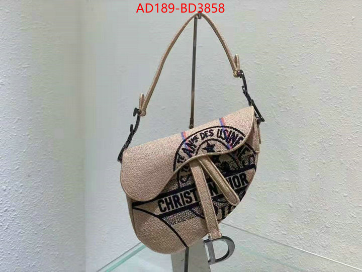 Dior Bags(TOP)-Saddle-,ID: BD3858,$: 189USD