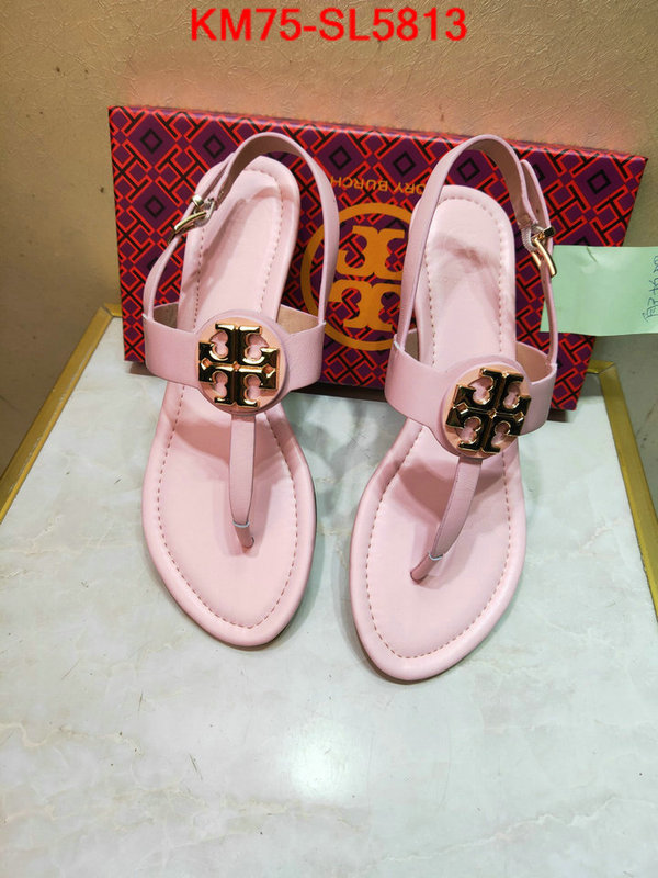 Women Shoes-Tory Burch,aaaaa+ replica , ID: SL5813,$: 75USD