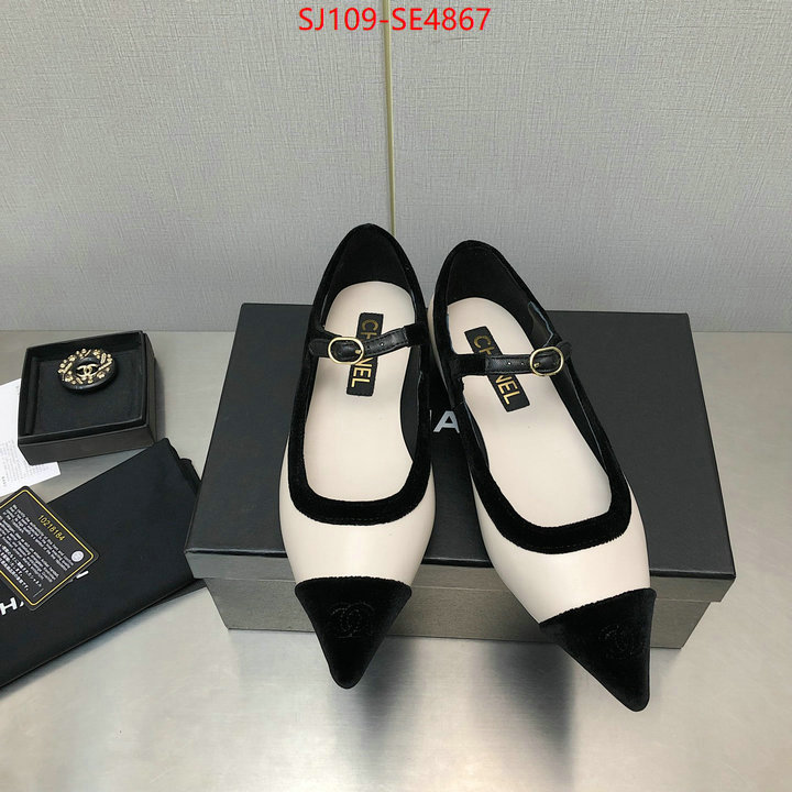 Women Shoes-Chanel,high-end designer , ID: SE4867,$: 109USD