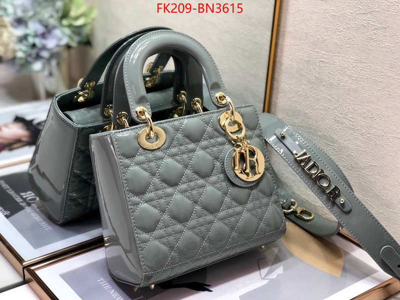 Dior Bags(TOP)-Lady-,ID: BN3615,$: 209USD