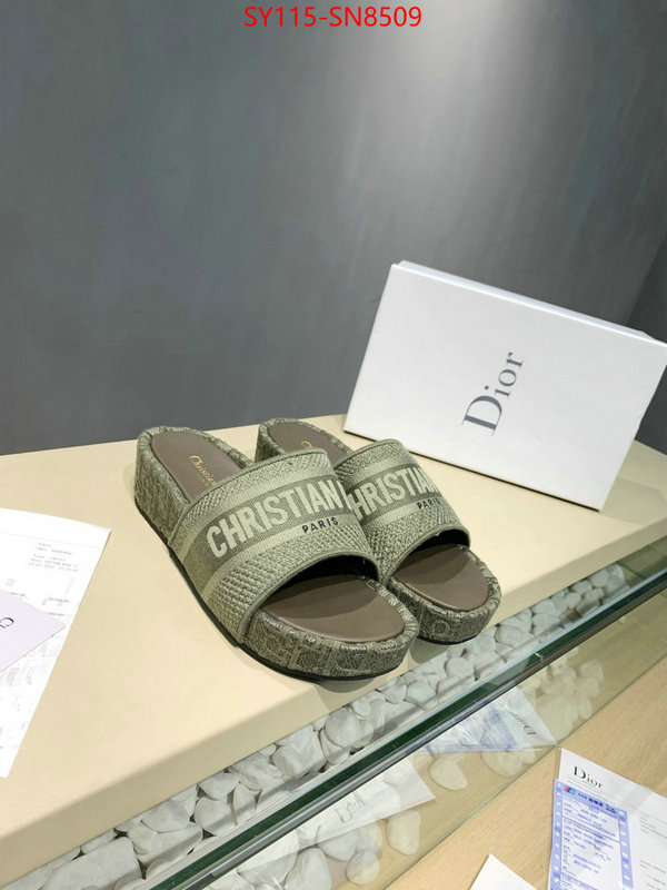 Women Shoes-Dior,sell online , ID: SN8509,$: 115USD