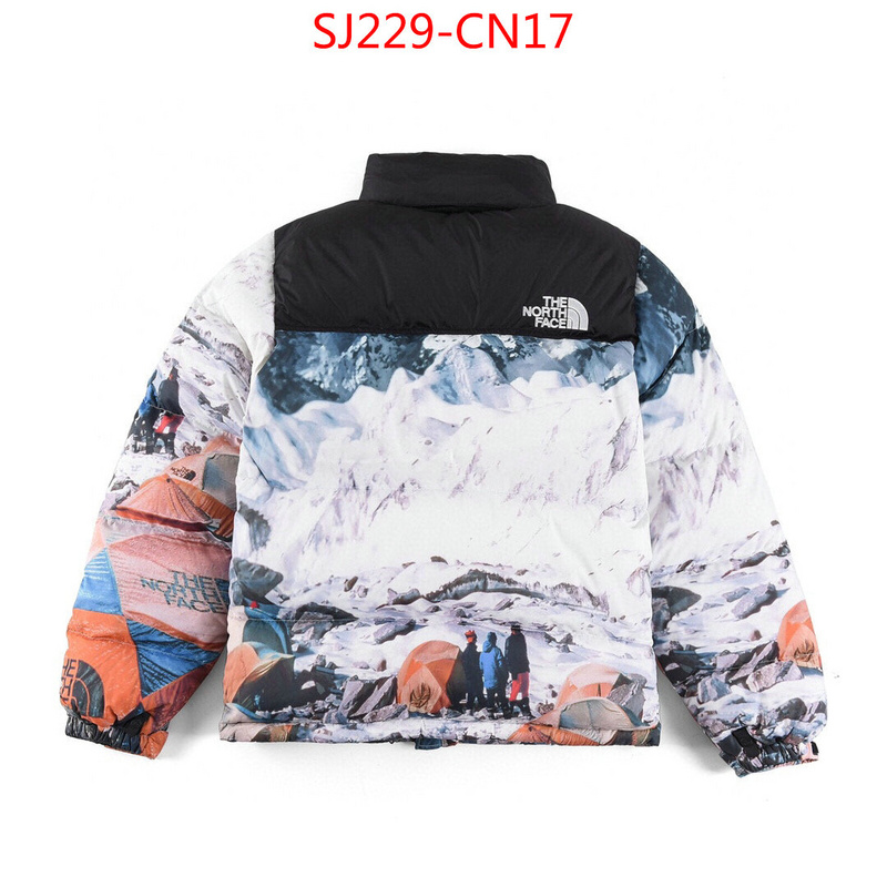 Down jacket Women-The North Face,the highest quality fake , ID: CN17,$: 229USD