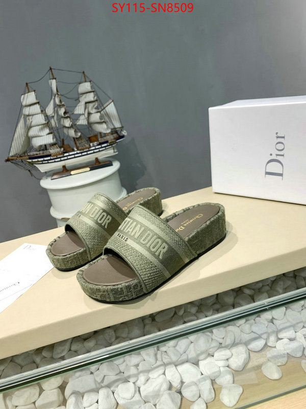 Women Shoes-Dior,sell online , ID: SN8509,$: 115USD