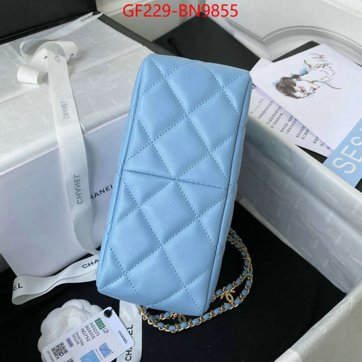 Chanel Bags(TOP)-Diagonal-,ID: BN9855,$: 229USD