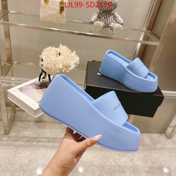 Women Shoes-Alexander Wang,sell high quality , ID: SD2519,$: 99USD