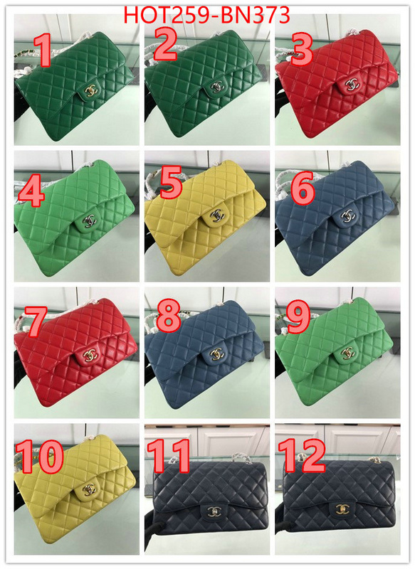 Chanel Bags(TOP)-Diagonal-,ID: BN373,$: 259USD