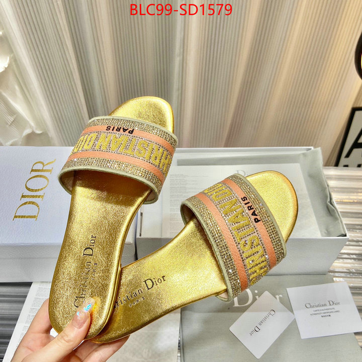 Women Shoes-Dior,buy aaaaa cheap , ID: SD1579,$: 99USD