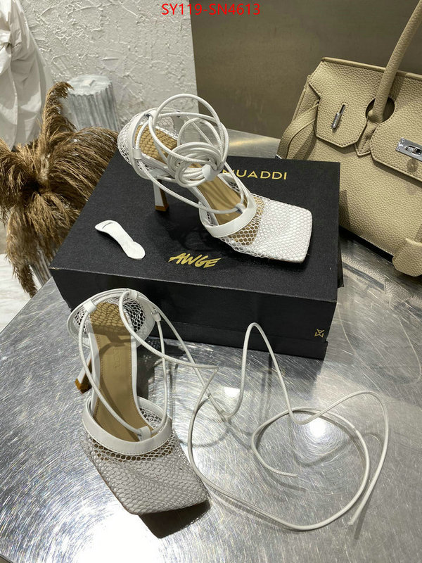 Women Shoes-BV,online china , ID: SN4613,$: 119USD