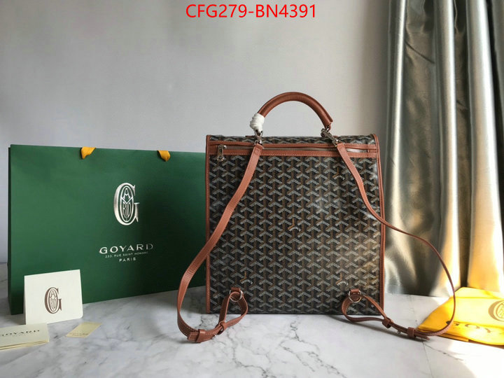 Goyard Bags(TOP)-Backpack-,ID: BN4391,$: 279USD