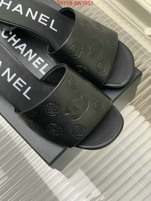 Women Shoes-Chanel,best site for replica , ID: SW3951,$: 119USD