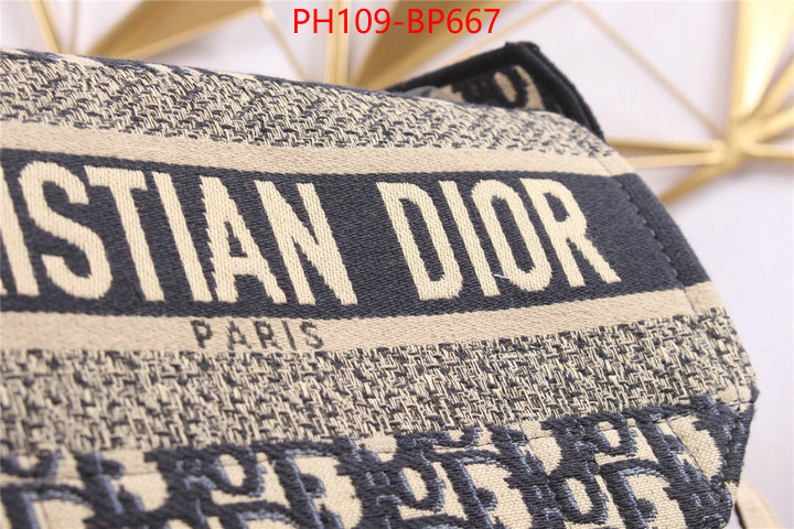 Dior Bags(4A)-Other Style-,ID: BP667,$: 109USD