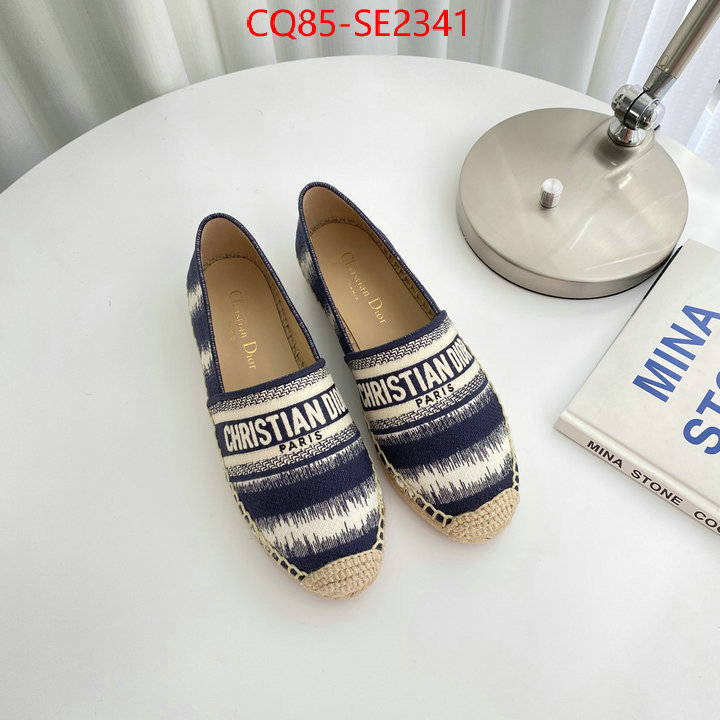 Women Shoes-Dior,wholesale replica shop , ID: SE2341,$: 85USD