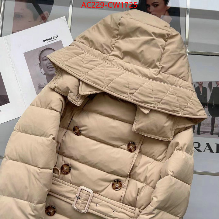 Down jacket Women-Burberry,how to start selling replica , ID: CW1725,$: 229USD