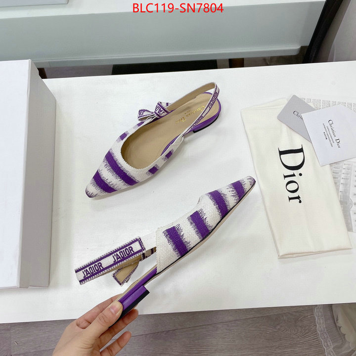 Women Shoes-Dior,wholesale designer shop , ID: SN7804,$: 119USD