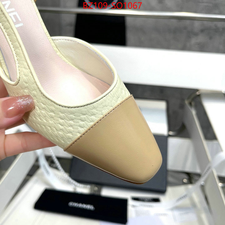 Women Shoes-Chanel,brand designer replica , ID: SO1067,$: 109USD