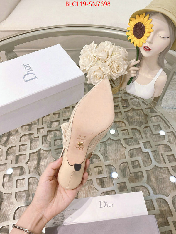 Women Shoes-Dior,how to buy replcia , ID: SN7698,$: 119USD