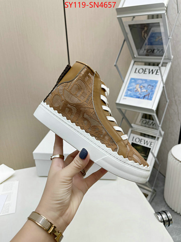 Women Shoes-Chloe,designer fake , ID: SN4657,$: 119USD