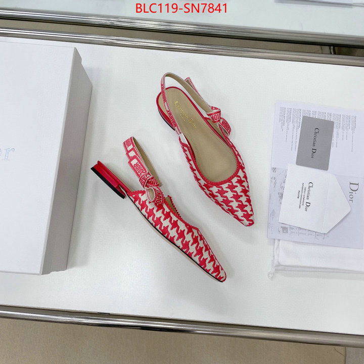 Women Shoes-Dior,outlet 1:1 replica , ID: SN7841,$: 119USD