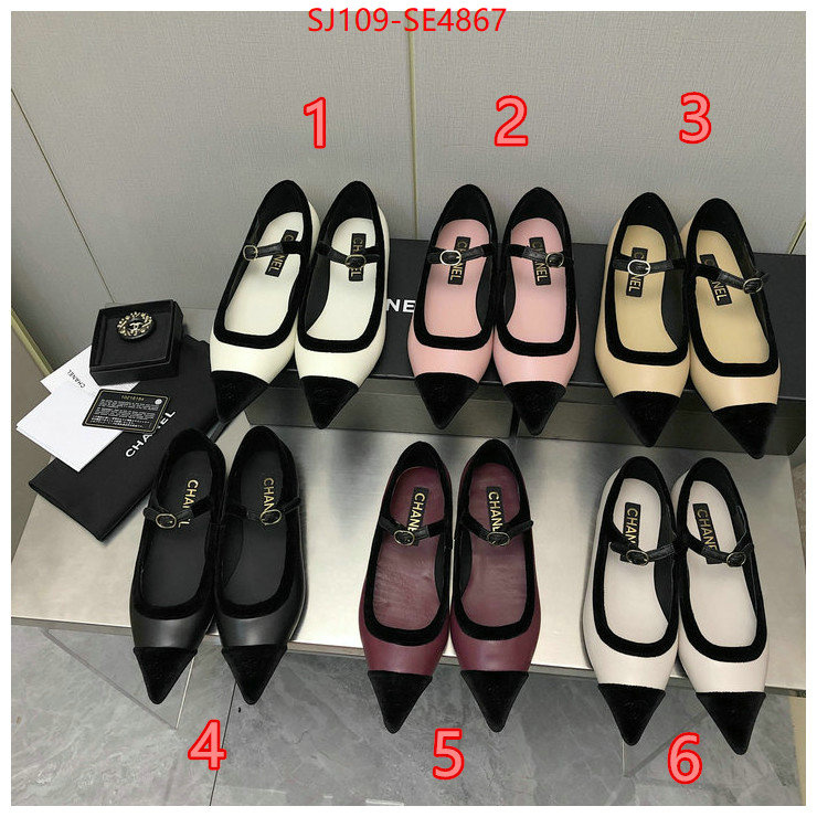 Women Shoes-Chanel,high-end designer , ID: SE4867,$: 109USD