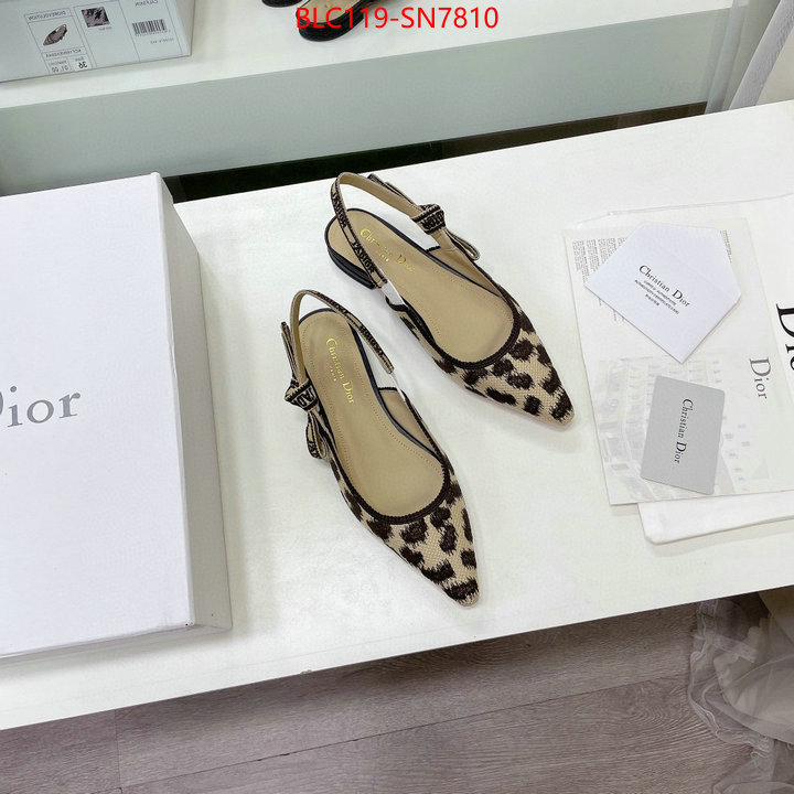 Women Shoes-Dior,7 star , ID: SN7810,$: 119USD