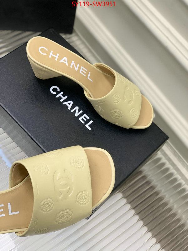 Women Shoes-Chanel,best site for replica , ID: SW3951,$: 119USD