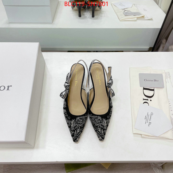 Women Shoes-Dior,what 1:1 replica , ID: SN7801,$: 119USD