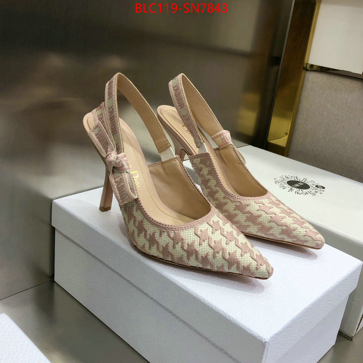 Women Shoes-Dior,we curate the best , ID: SN7843,$: 119USD