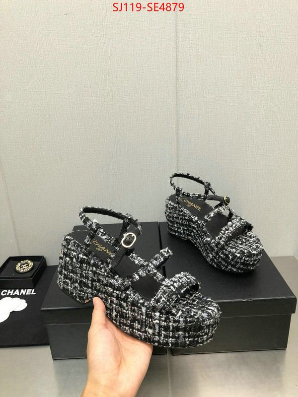 Women Shoes-Chanel,cheap replica designer , ID: SE4879,$: 119USD