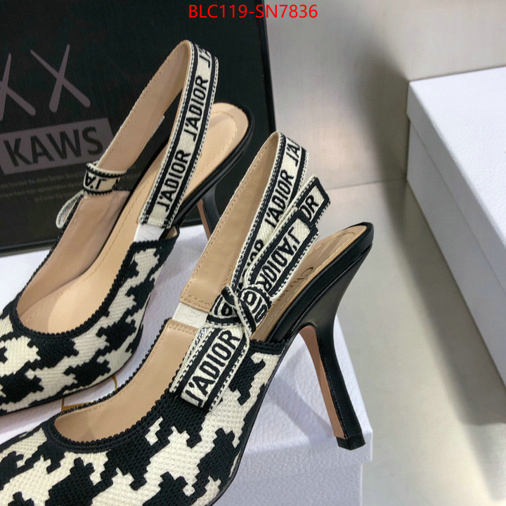 Women Shoes-Dior,what's the best to buy replica , ID: SN7836,$: 119USD