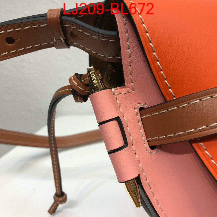 Loewe Bags(TOP)-Diagonal-,the best ,ID: BL672,$:209USD