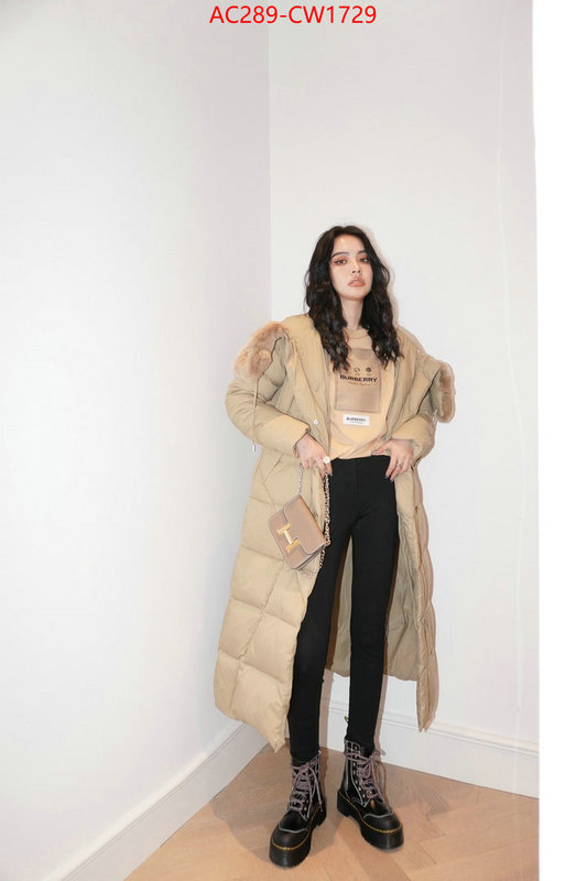 Down jacket Women-Burberry,website to buy replica , ID: CW1729,$: 289USD