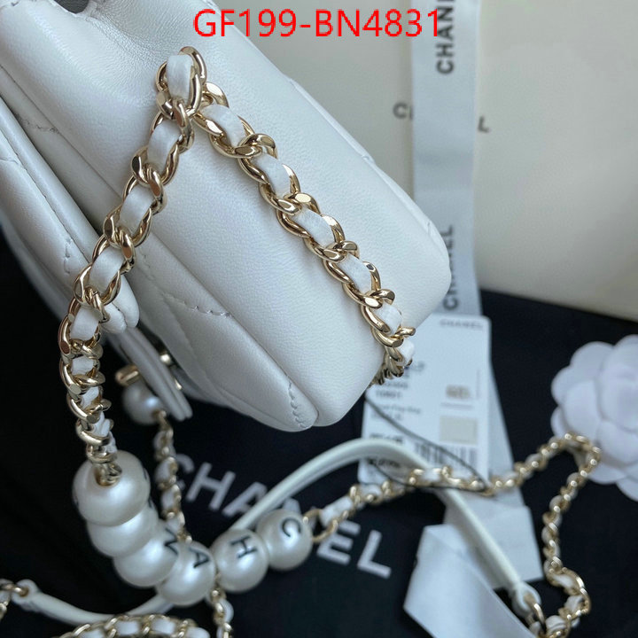 Chanel Bags(TOP)-Diagonal-,ID: BN4831,$: 199USD