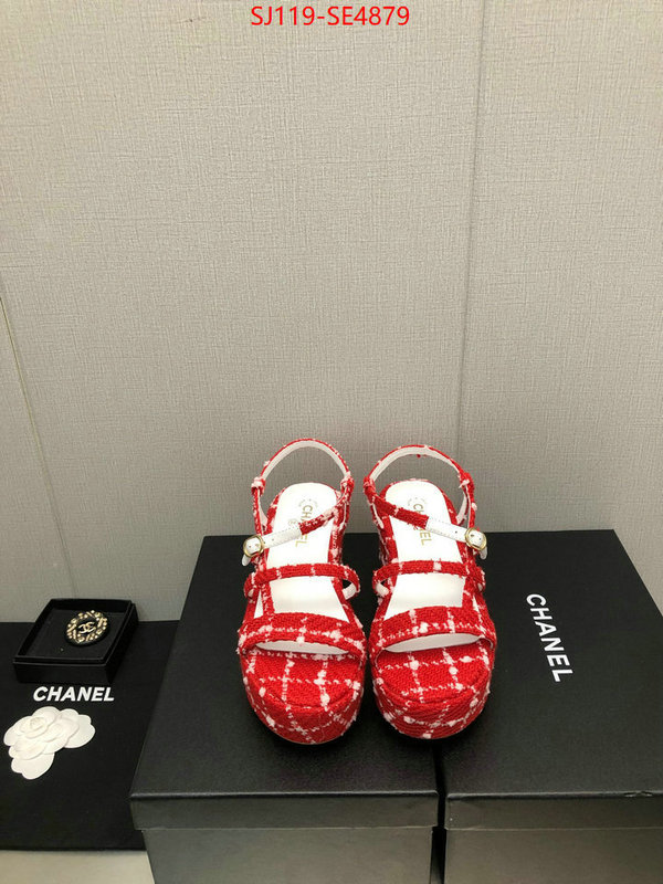 Women Shoes-Chanel,cheap replica designer , ID: SE4879,$: 119USD