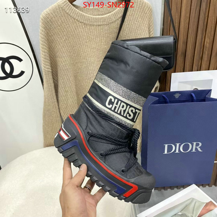 Women Shoes-Dior,buy first copy replica , ID: SN2972,$: 149USD