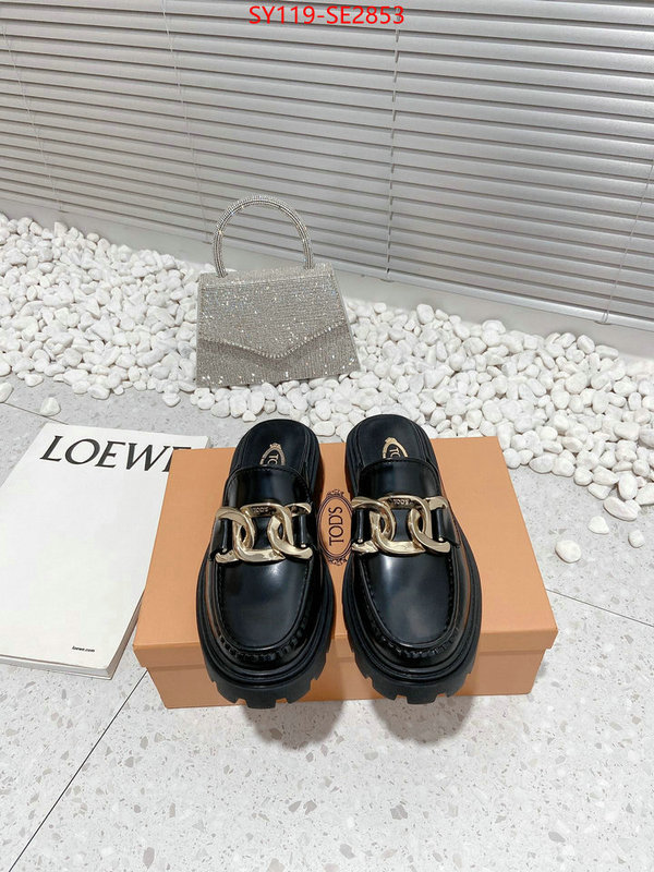 Women Shoes-Tods,top fake designer ,high quality replica designer , ID: SE2853,$: 119USD