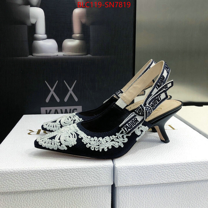 Women Shoes-Dior,replica aaaaa designer , ID: SN7819,$: 119USD