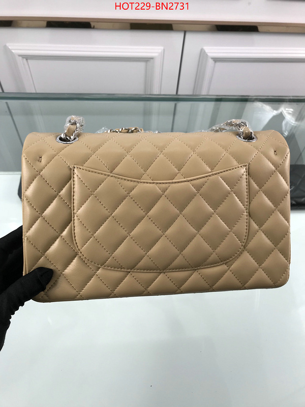 Chanel Bags(TOP)-Diagonal-,ID: BN2731,$: 229USD