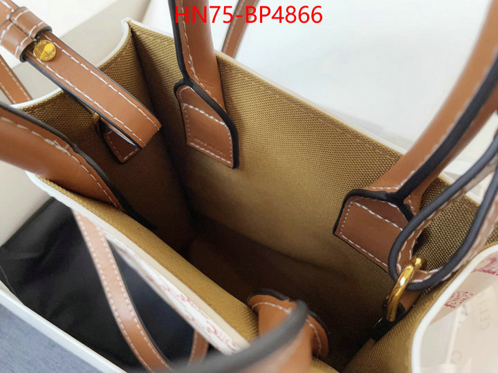 CELINE Bags(4A)-Cabas Series,at cheap price ,ID: BP4866,$: 75USD
