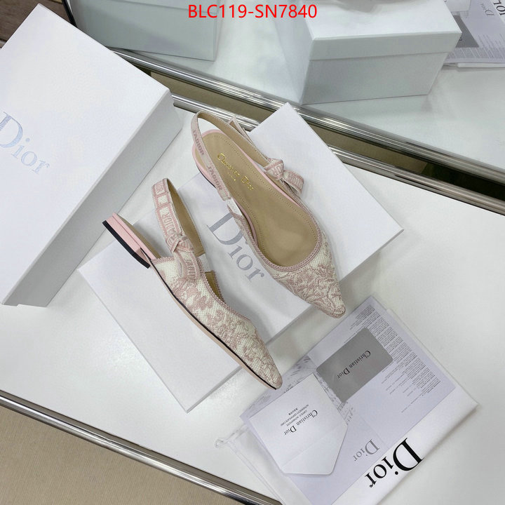 Women Shoes-Dior,replica designer , ID: SN7840,$: 119USD