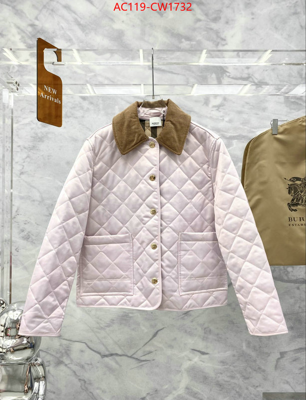 Down jacket Women-Burberry,what's the best to buy replica , ID: CW1732,$: 119USD