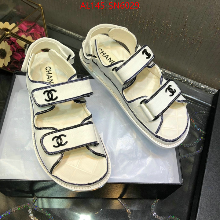 Women Shoes-Chanel,replica online , ID: SN6029,$: 145USD