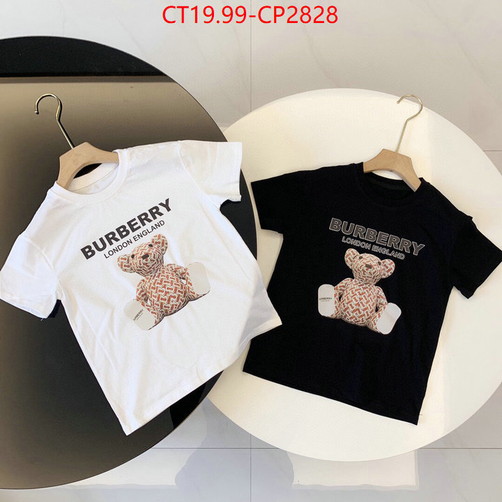 Kids clothing-Burberry,high quality , ID: CP2828,