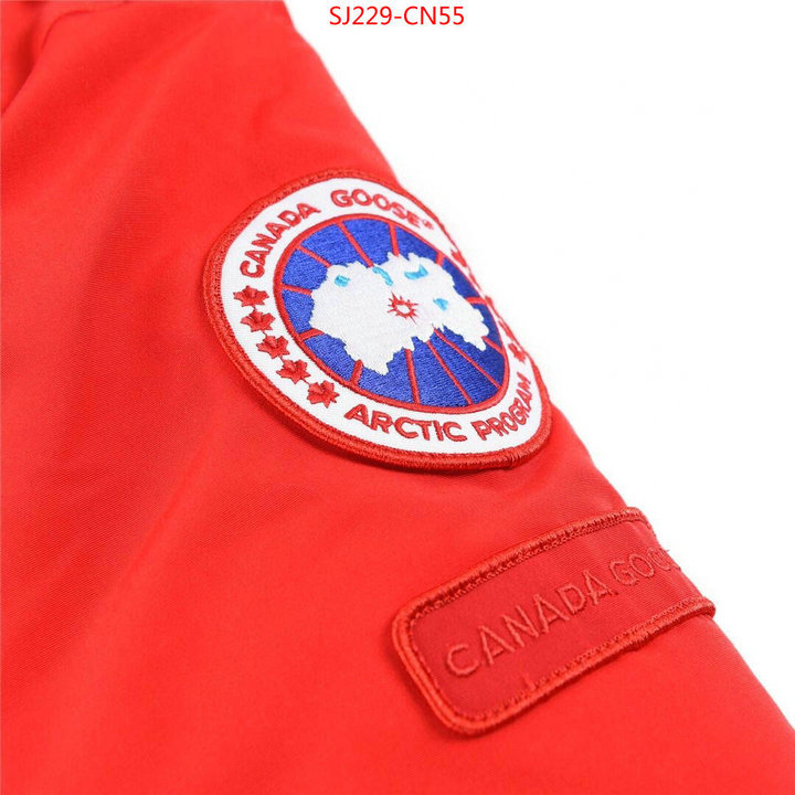 Down jacket Women-Canada Goose,2023 aaaaa replica 1st copy , ID: CN55,$: 229USD