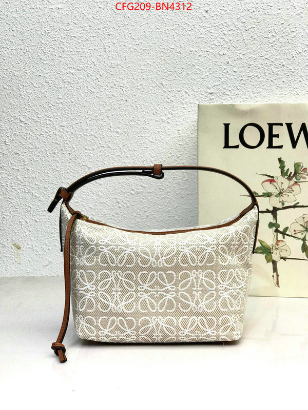 Loewe Bags(TOP)-Cubi,top 1:1 replica ,ID: BN4312,$: 209USD